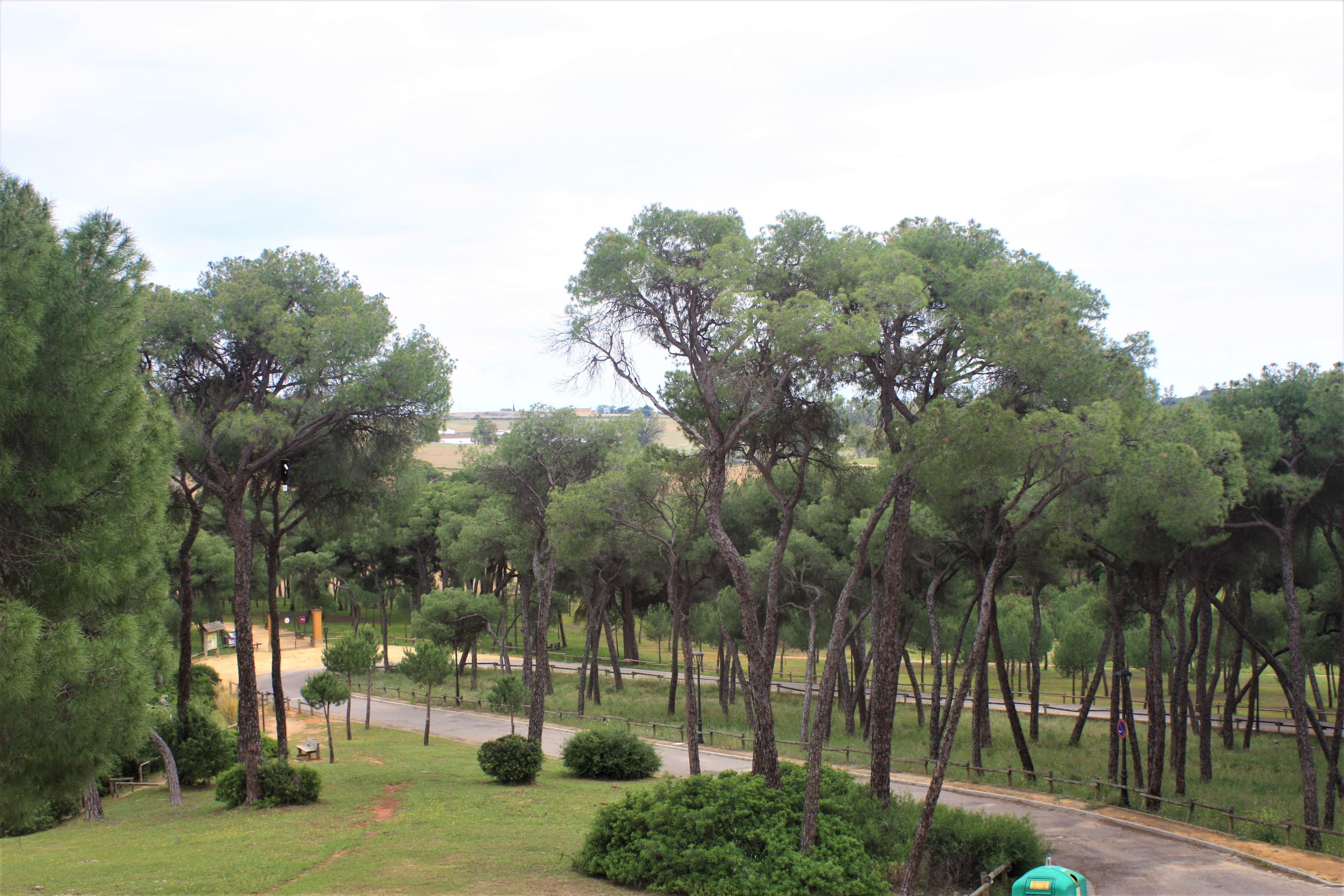 Hotel Oromana Alcalá de Guadaira Eksteriør bilde