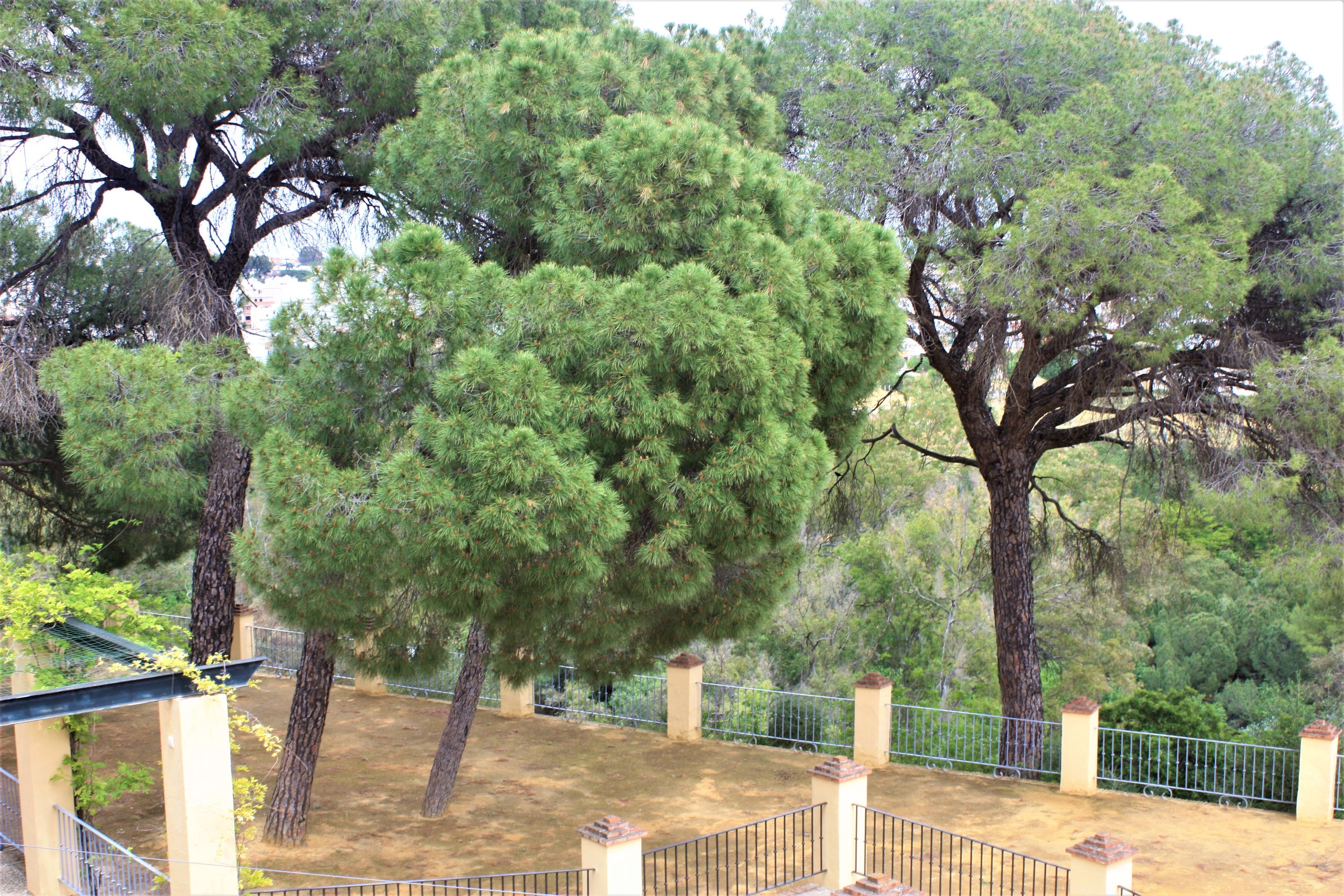 Hotel Oromana Alcalá de Guadaira Eksteriør bilde