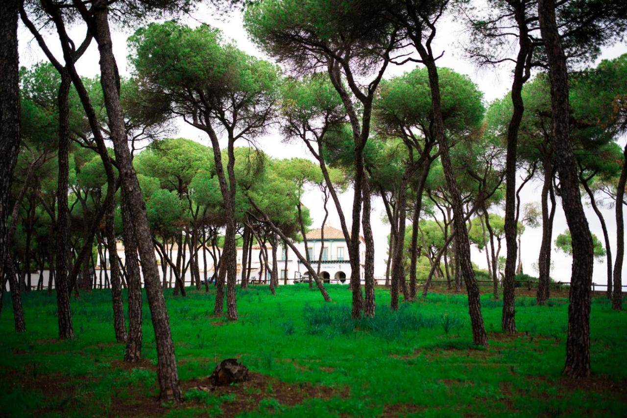 Hotel Oromana Alcalá de Guadaira Eksteriør bilde